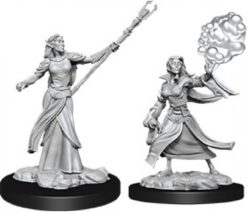 Female Elf Sorcerer