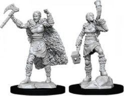 Female Human Barbarian