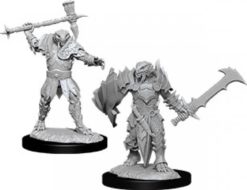 Male Dragonborn Paladin