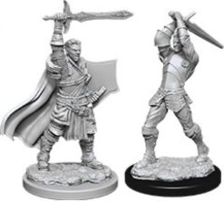 Male Human Paladin
