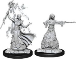 Female Elf Wizard