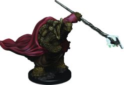 D&D Icons of the Realms: Premium Set 3- Male Tortle Monk