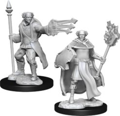 Multiclass Cleric + Wizard Male