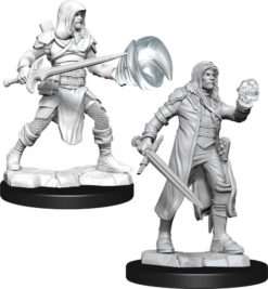 Multiclass Fighter + Wizard Male