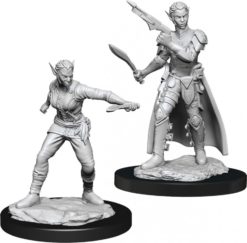 Shifter Rogue Female