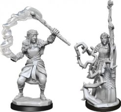 Firbolg Druid Female