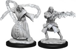 Elf Wizard Male