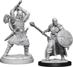Human Barbarian Male