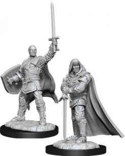 Human Paladin Male
