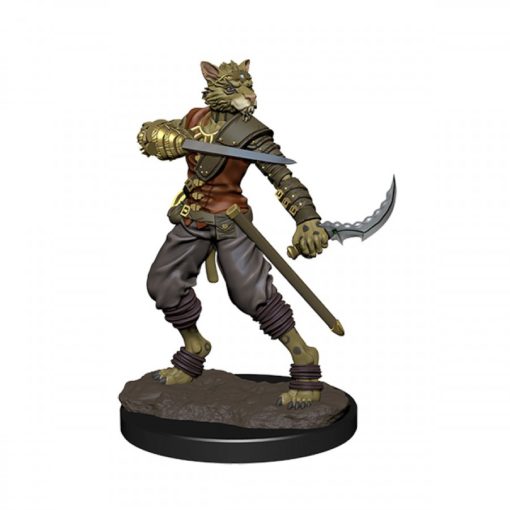 D&D Icons of the Realms: Premium Set 6- Tabaxi Rogue Male