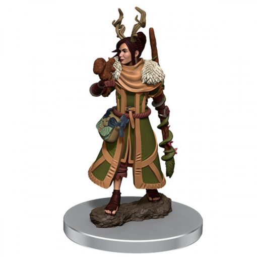 D&D Icons of the Realms: Premium Set 7- Female Human Druid