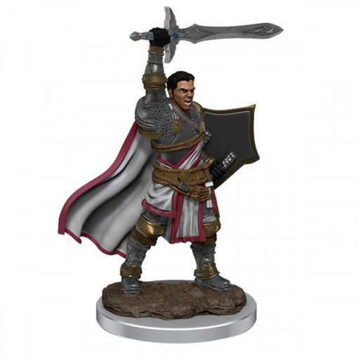 D&D Icons of the Realms: Premium Set 7- Male Human Paladin