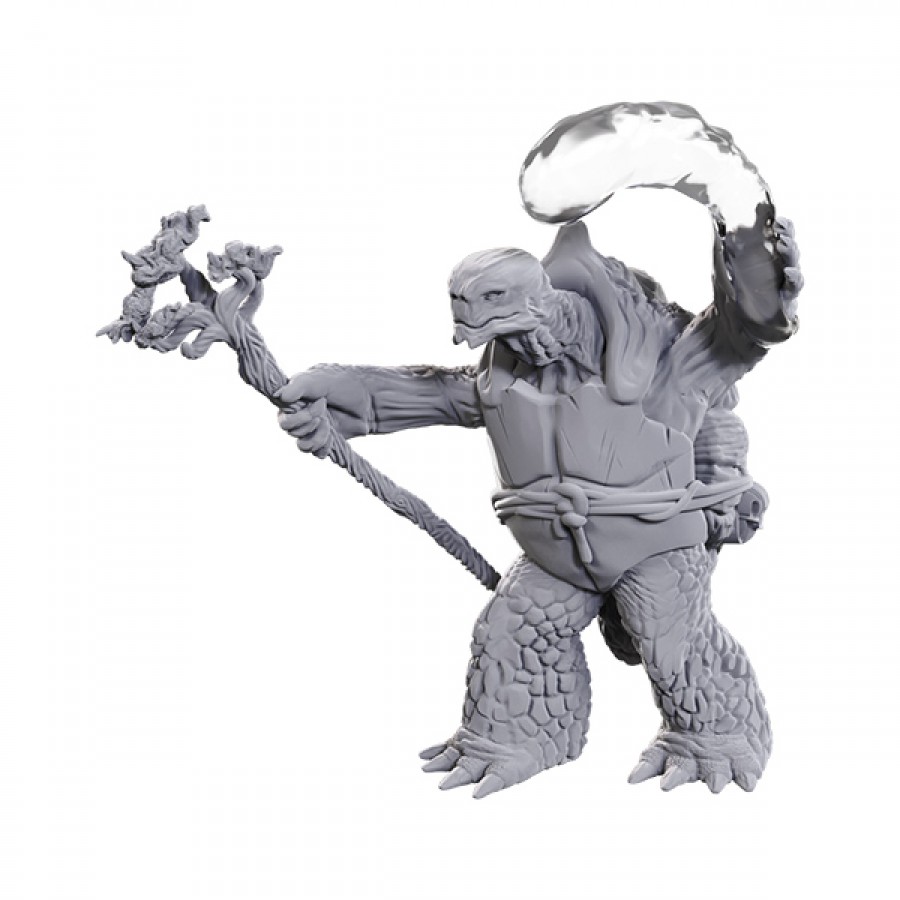 Tortle Druid & Wild Shape Giant Lizard