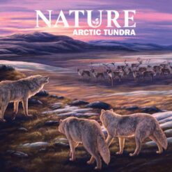 Nature: Module 4- Tundra
