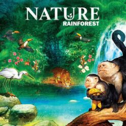 Nature: Module 5- Rainforest